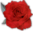 rosebutton.gif (2527 bytes)